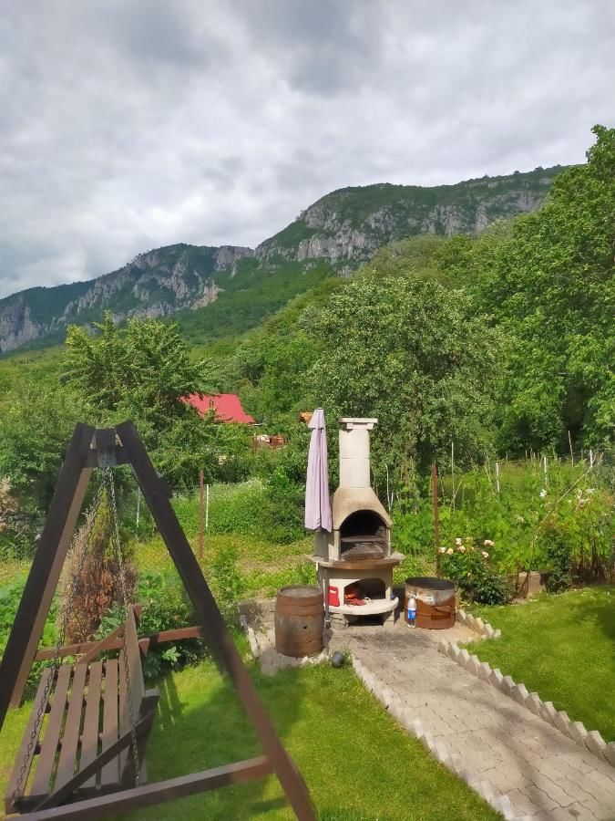 Гостевой дом Cazare Casa Sandra Бэиле-Еркулане