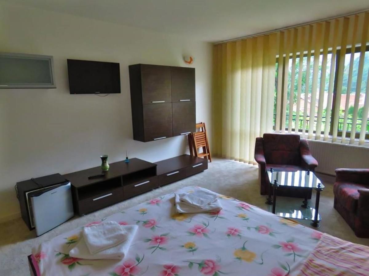 Гостевой дом Cazare Casa Sandra Бэиле-Еркулане-25