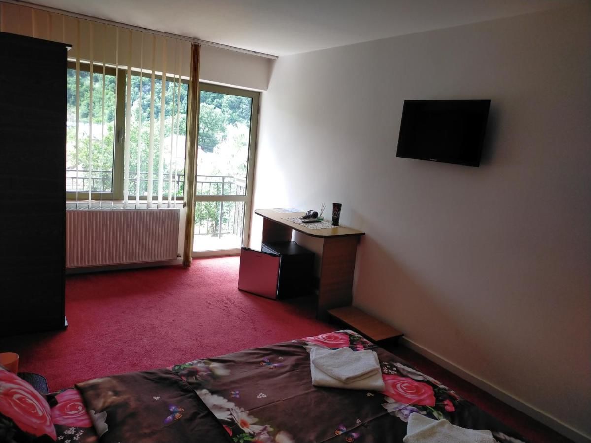 Гостевой дом Cazare Casa Sandra Бэиле-Еркулане