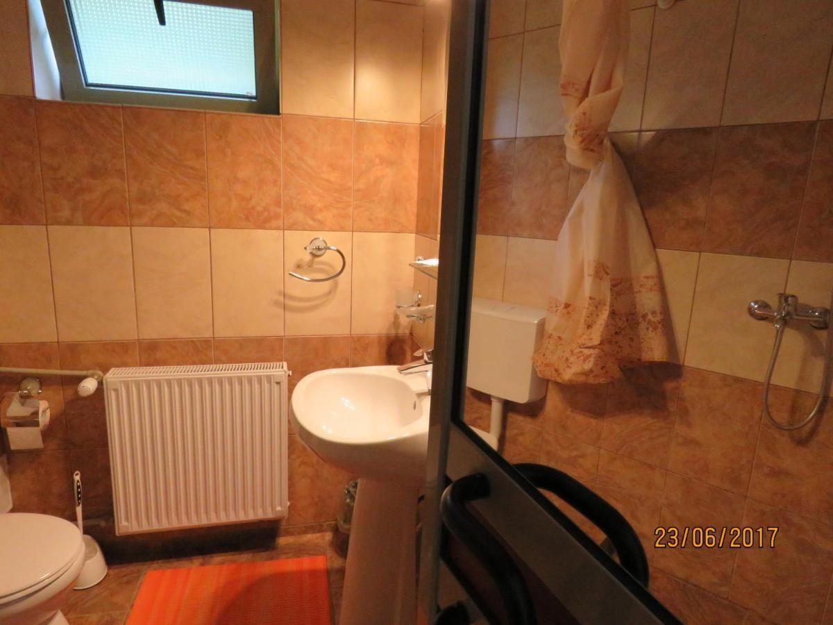 Гостевой дом Cazare Casa Sandra Бэиле-Еркулане