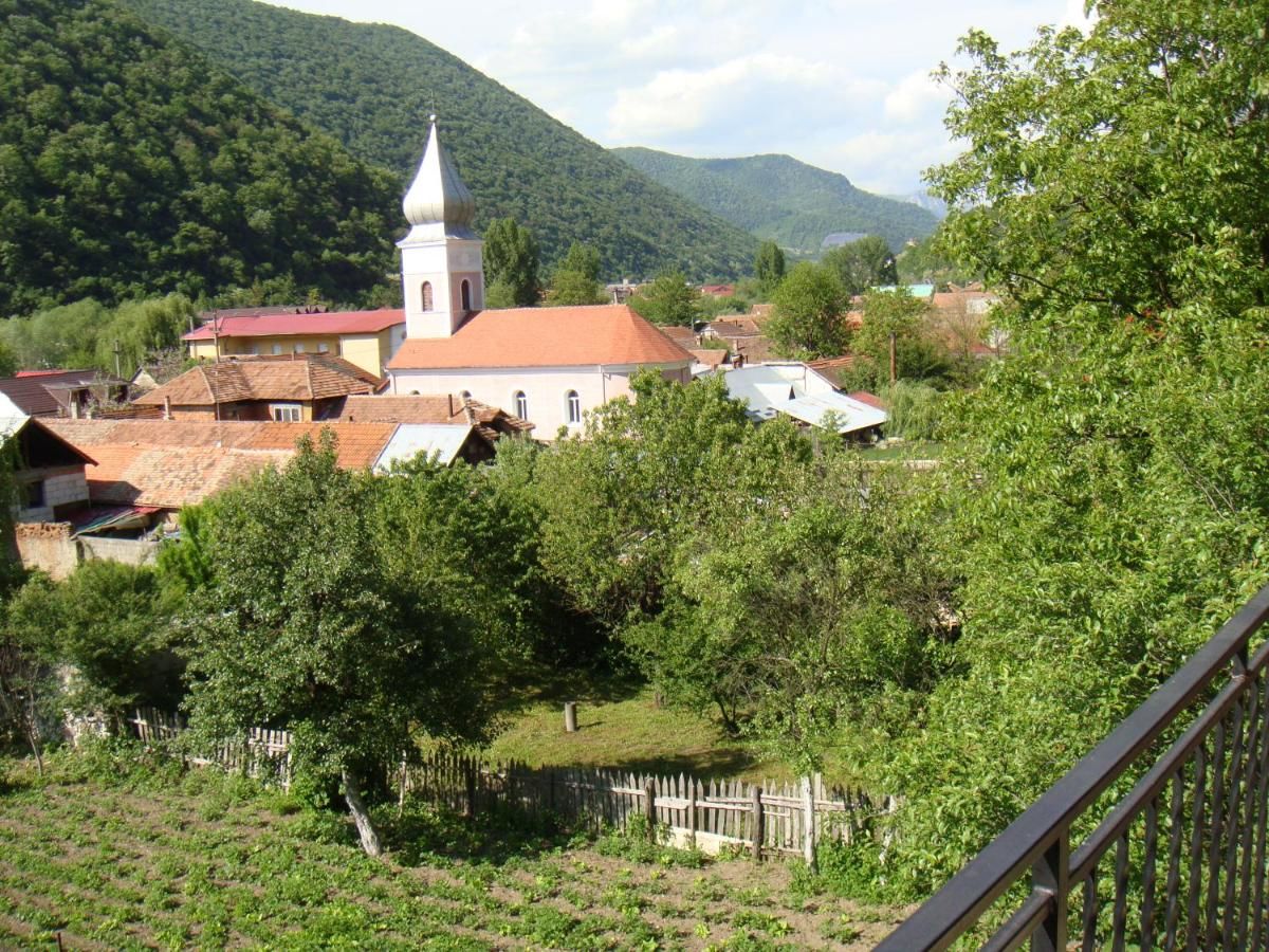 Гостевой дом Cazare Casa Sandra Бэиле-Еркулане-43