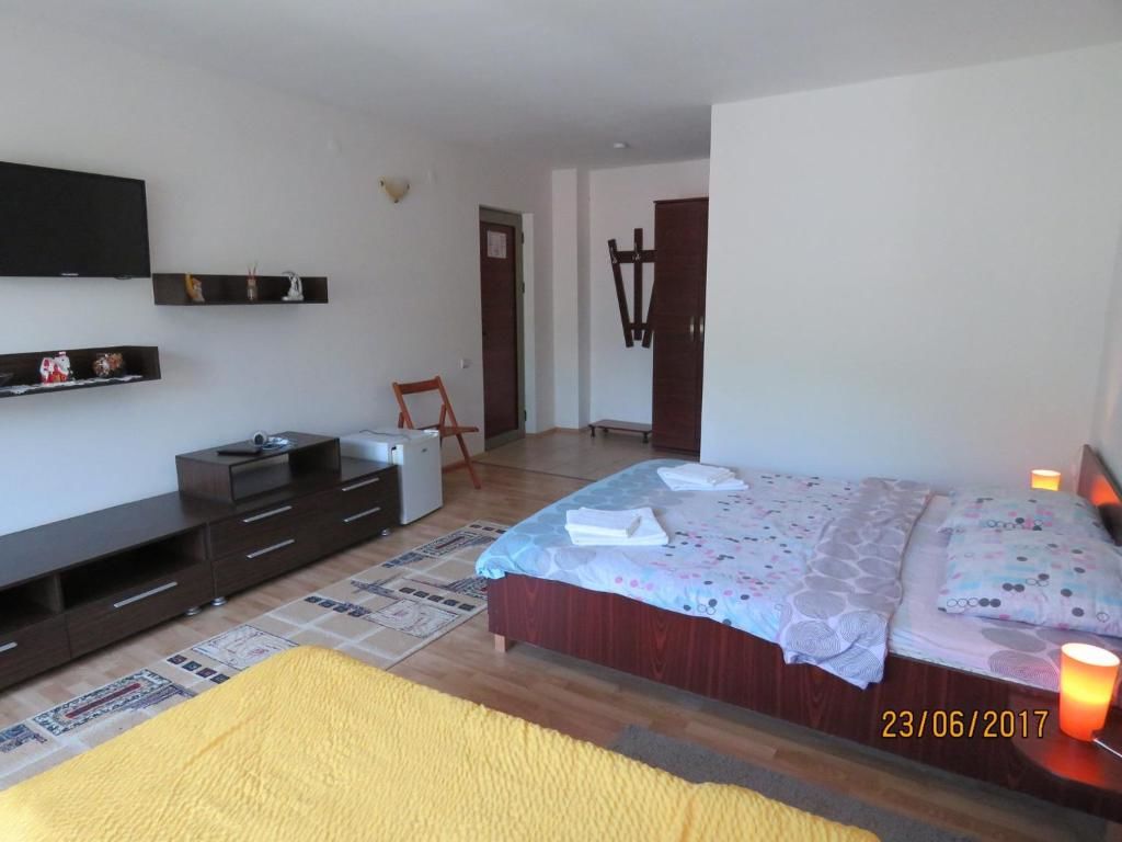 Гостевой дом Cazare Casa Sandra Бэиле-Еркулане-45