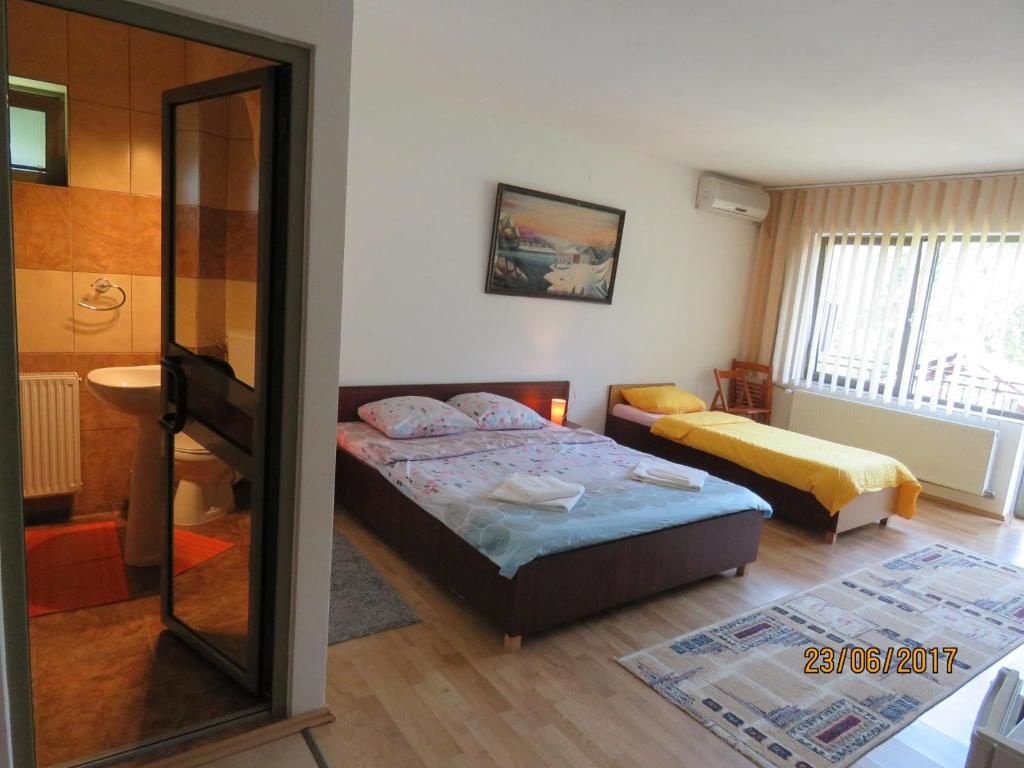 Гостевой дом Cazare Casa Sandra Бэиле-Еркулане-46