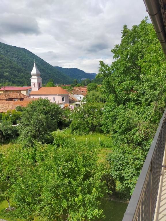 Гостевой дом Cazare Casa Sandra Бэиле-Еркулане-49